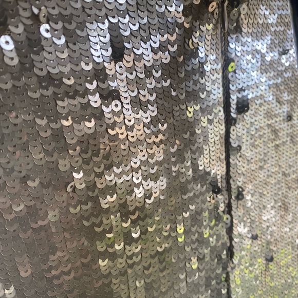 NWT Ultra Glam Zara sequinned Maxi Dress - Picture 6 of 7